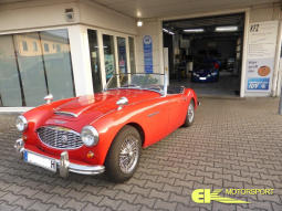 Austin-Healey R6 Abstimmung auf LPS